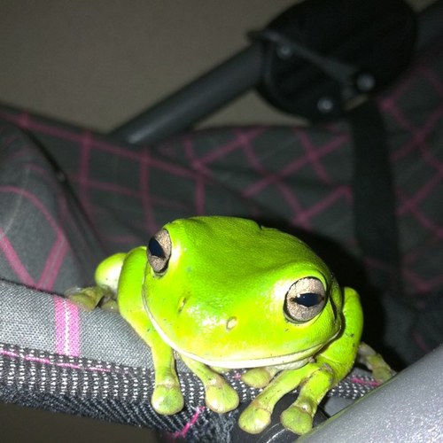 Witsundays's profile picture. 