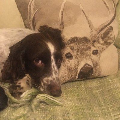 annabella2803's profile picture. 