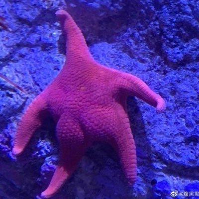 JTVYyc4ietKJ79a's profile picture. 🚪777¥需要无脑atm奴。💰我就是皇城根的龙🐲无所畏惧 英勇杀敌。绝望直女日记本。我只想和自律有修养有文化有审美 长的帅身材好鸡鸡大的男生做爱爱❤️