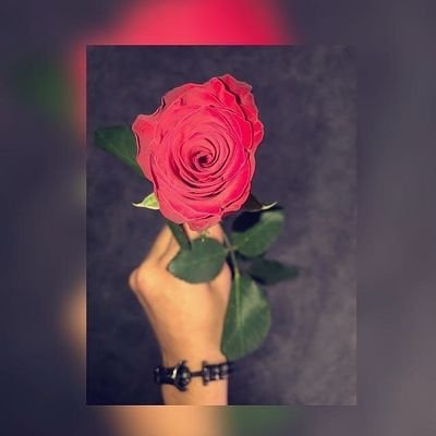 Gülü gülene ver. Kalbini sevene ver. Sevmek güzel şeydir. Kıymet bilene ver. ~Mevlana