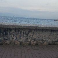 Serhat (@tavukcu76853525) Twitter profile photo