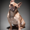 Jillian Thornton - @jethornton2882 - Twitter