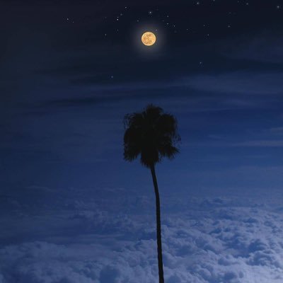 solotravelling's profile picture. 