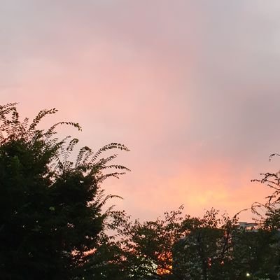 DALLBAM_'s profile picture. 