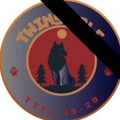 TeamTwinsTTFL Profile Picture