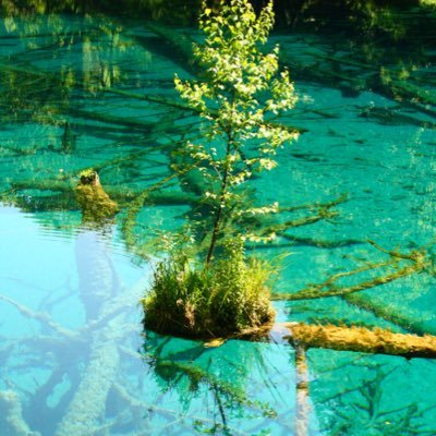 JunHanStudy's profile picture. PhD in Machine Learning