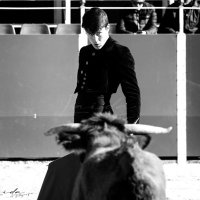 Victor Barroso (@victorb45763379) 's Twitter Profile