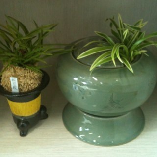 chunghai1001's profile picture. 