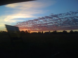 CarolineRhoads's profile picture. 