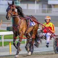 aldo cortopassi (@aldocortopassi) 's Twitter Profile