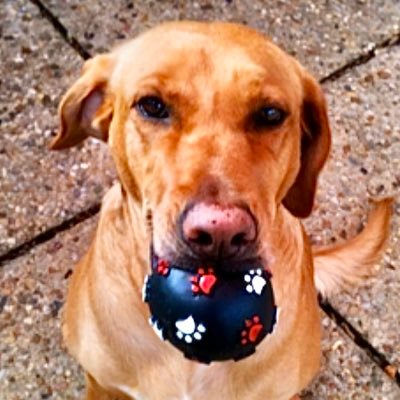 LeeColey10's profile picture. If you can imagine it then I can engrave it. Blessed with the ability to engrave on to almost anything for over 24 years.