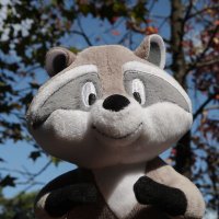 偲子／サカ (@saikodo_y) 's Twitter Profile Photo