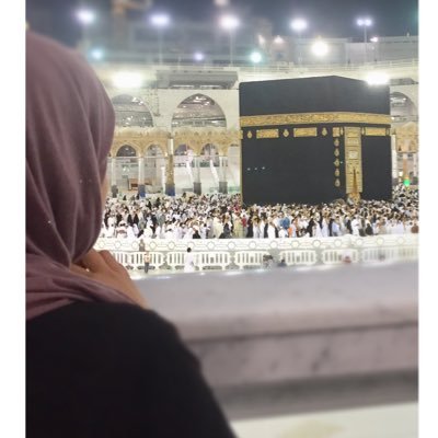 _tbegum's profile picture. 