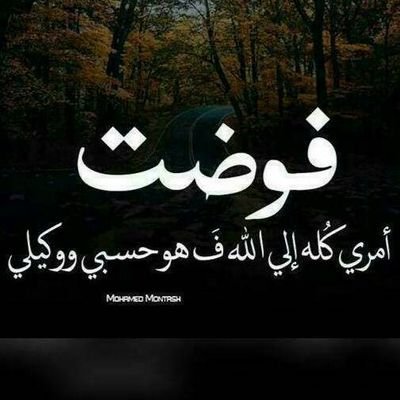 مدير حسابات
إعداد التقارير المالية والقوائم المالية ومراجعة ميزان المراجعة الشهري واعداد الموازنات الشهرية والحسابات الختامية