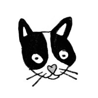 Alison Zai (@alisonzai) 's Twitter Profile