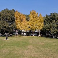 能叔 (@nengliu123) 's Twitter Profile