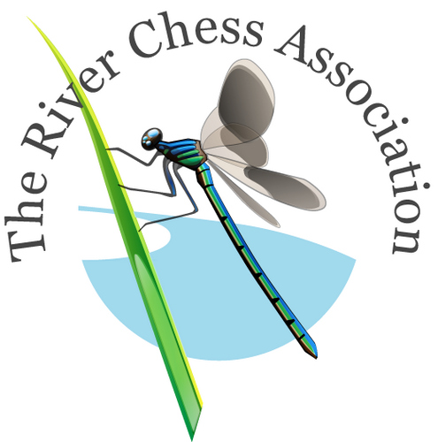 The River Chess Association seeks to protect and enhance the River Chess, a Chilterns chalk stream, for future generations.