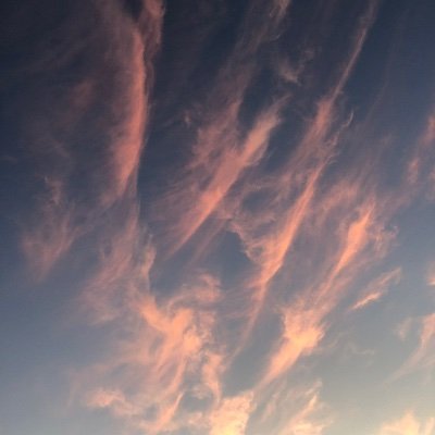 hollylolli's profile picture. 