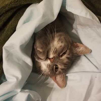 millsdjr's profile picture. Bowling Bowling Bowling... Baseball too