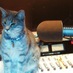 Christine Hanquet (@chachristine) Twitter profile photo