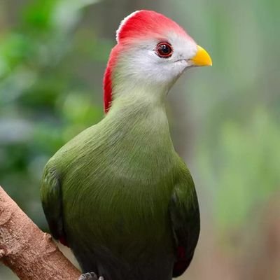 Lovelyanimals69's profile picture. please follow me