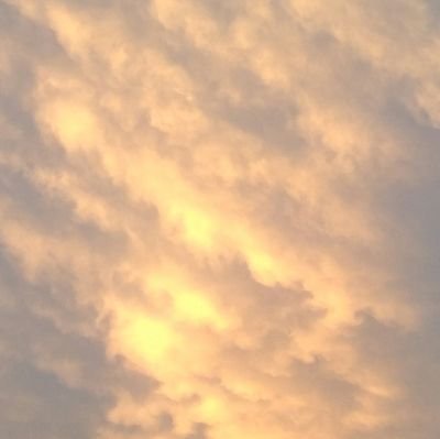 krispen08010908's profile picture. Tidak ada yang penting dari saya