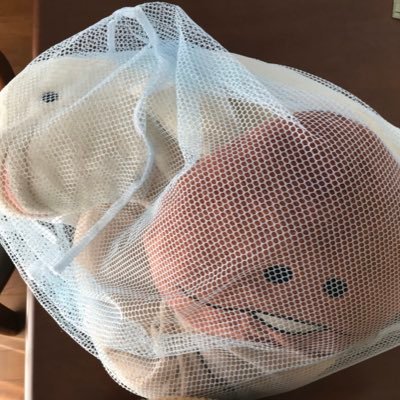 kazuki990629's profile picture. 社会人になったよ😇