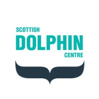 Dolphin Centre WDC(@Dolphinsighting) 's Twitter Profileg