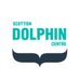 Dolphin Centre WDC (@Dolphinsighting) Twitter profile photo