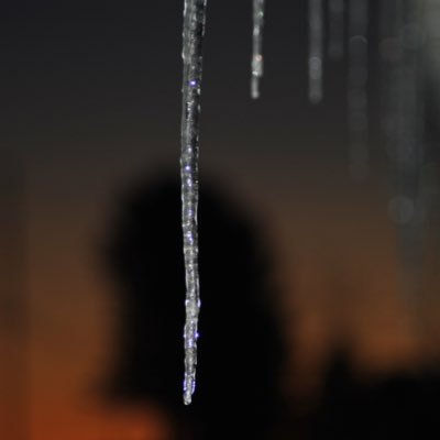 dbrafam's profile picture. Living life and loving everyday 💛✌🏼