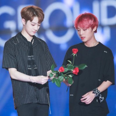 wkqtletjd's profile picture. 판윙에 아직도 몹시 진심인 편