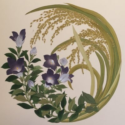 桔梗さんのプロフィール画像