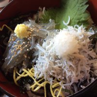 しらす (@sirasu73645635) 's Twitter Profile