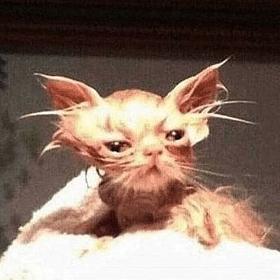 eltsuuq's profile picture. 