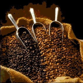 Who doesnt like coffee straight from ROASTED coffee beans?
http://t.co/lmuDHGDeRF