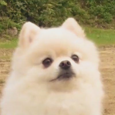 澄