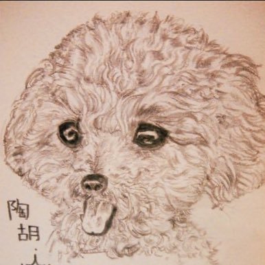 バリカンドッグ🐶さんのプロフィール画像