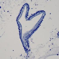 HHyotyLab (@hhyotylab) 's Twitter Profile Photo HHyotyLab (@hhyotylab) 's Twitter Profile Photo