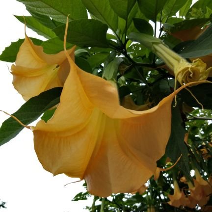 TMKrishnan74's profile picture. Karma