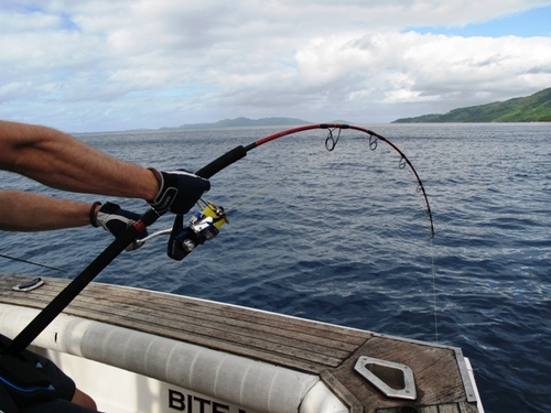 ReelRaiser's profile picture. Information, news and lots of fishing stuffs. Make yourself at home and leave a tweet whenever possible. I am here to share as much as I can.