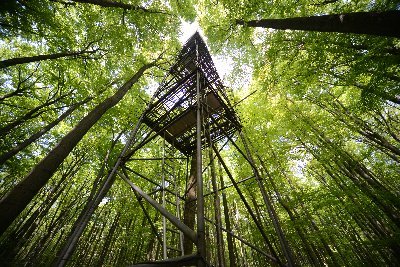 Bioclimatology Göttingen Profile