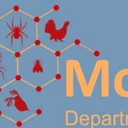 Molecular Ecology(@Mol_Ecol) 's Twitter Profile Photo