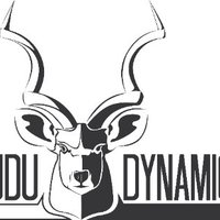 Kudu Dynamics (@kududyn) 's Twitter Profile