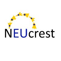 ITN NEUcrest(@INeucrest) 's Twitter Profile Photo