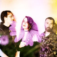 The Elephant Trip (@elephanttrip) 's Twitter Profile