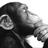 Aforizmov's profile image