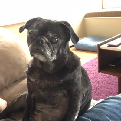 thesongreborn's profile picture. Musician and Life Enthusiast