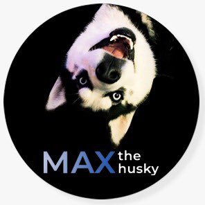 LOS PERROS 🐶QUE HABLAN

🟢TIENDA⬇️MASCOTAS 💥 https://t.co/vzYCQoKD33 🐾

📩maxthehuskyinfo@gmail.com