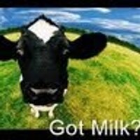g0t mi1k (@g0tmi1k) 's Twitter Profile