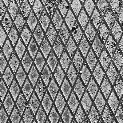 WiebkeWWW's profile picture. Art is life